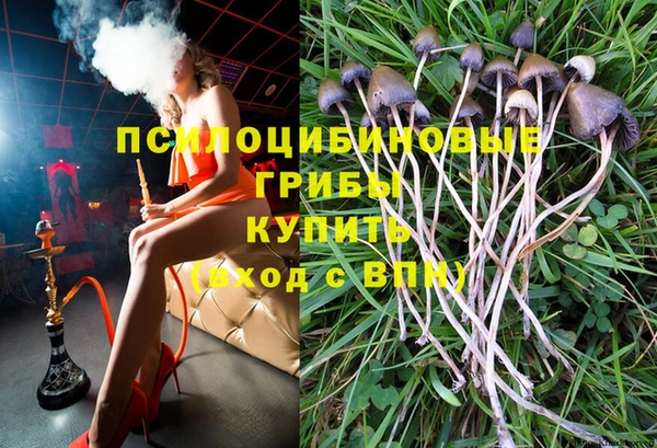 мяу мяу мука Абдулино